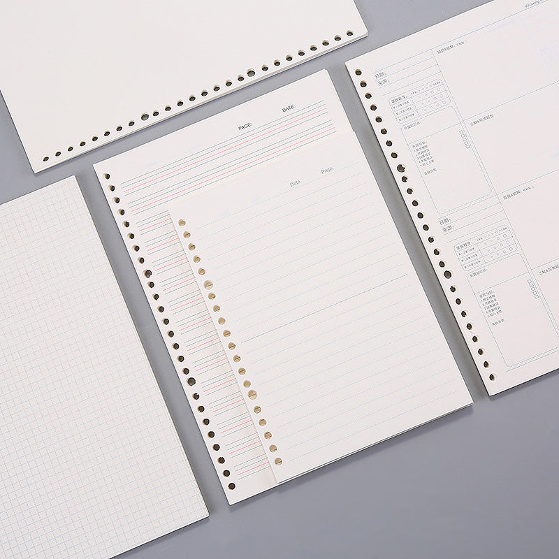 Variety of blank and lined notebook sheets