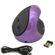 Purple (Pack of 2)