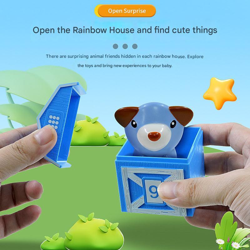Cognitive Development Toy