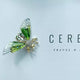Transparent Wings Bee Brooch - Green