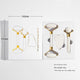 White Jade Three-Piece Set + Gift Box