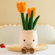 Orange (Pack of 2)
