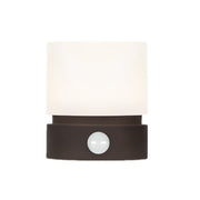 Brown (Pack of 1)