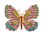 Colorful Butterfly 4072947