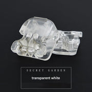 +++Butterfly Shoe Buckle White