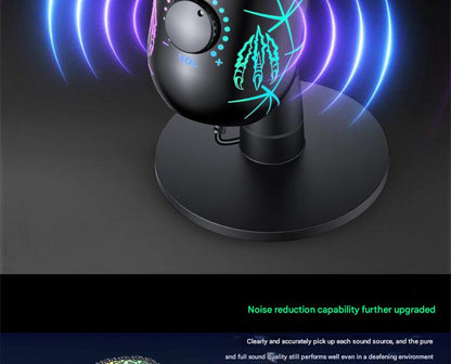 V5 microphone recording studio setup
