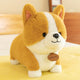 25 cm (Pack of 2)