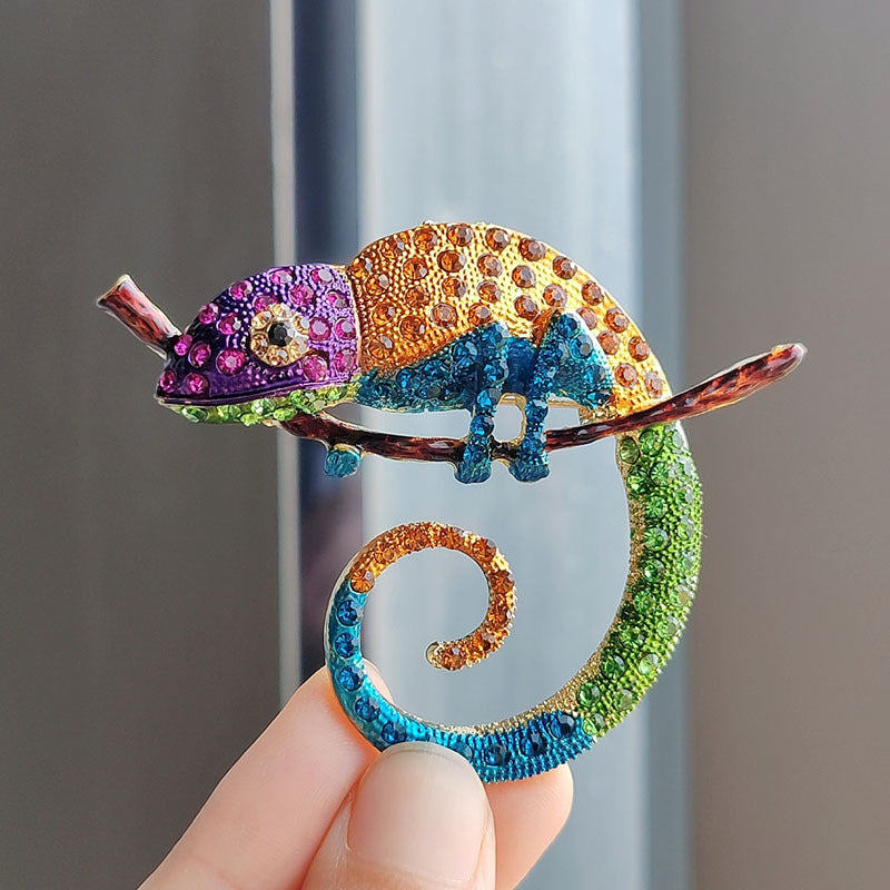Brooch on Clothing
