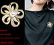 213 Gold Versatile Style