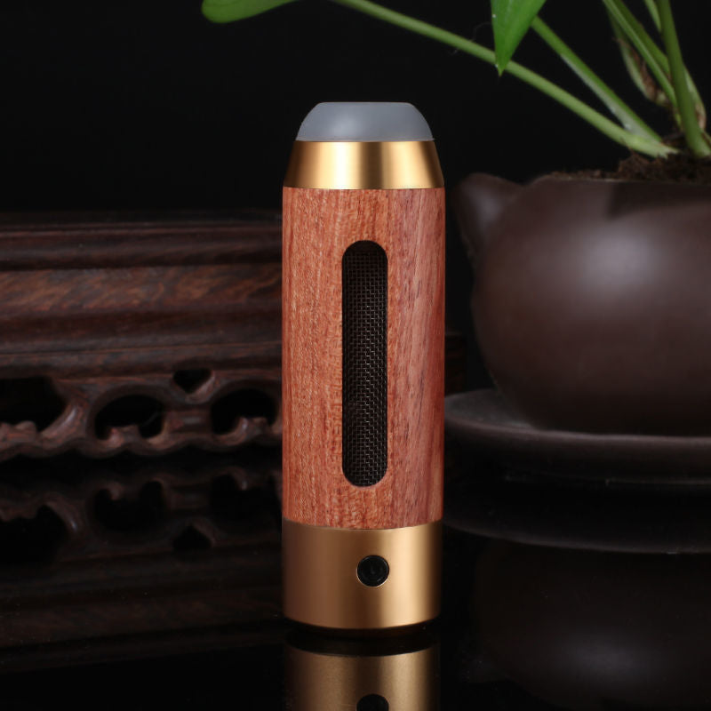 portable car ash container