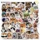 Default TitleA (Pack of 1)