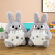 Kitten (Pack of 2)