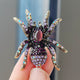 XZ0241-4 Light Purple